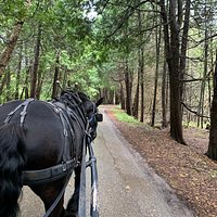 jack's livery stable tours