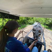 jack's livery stable tours