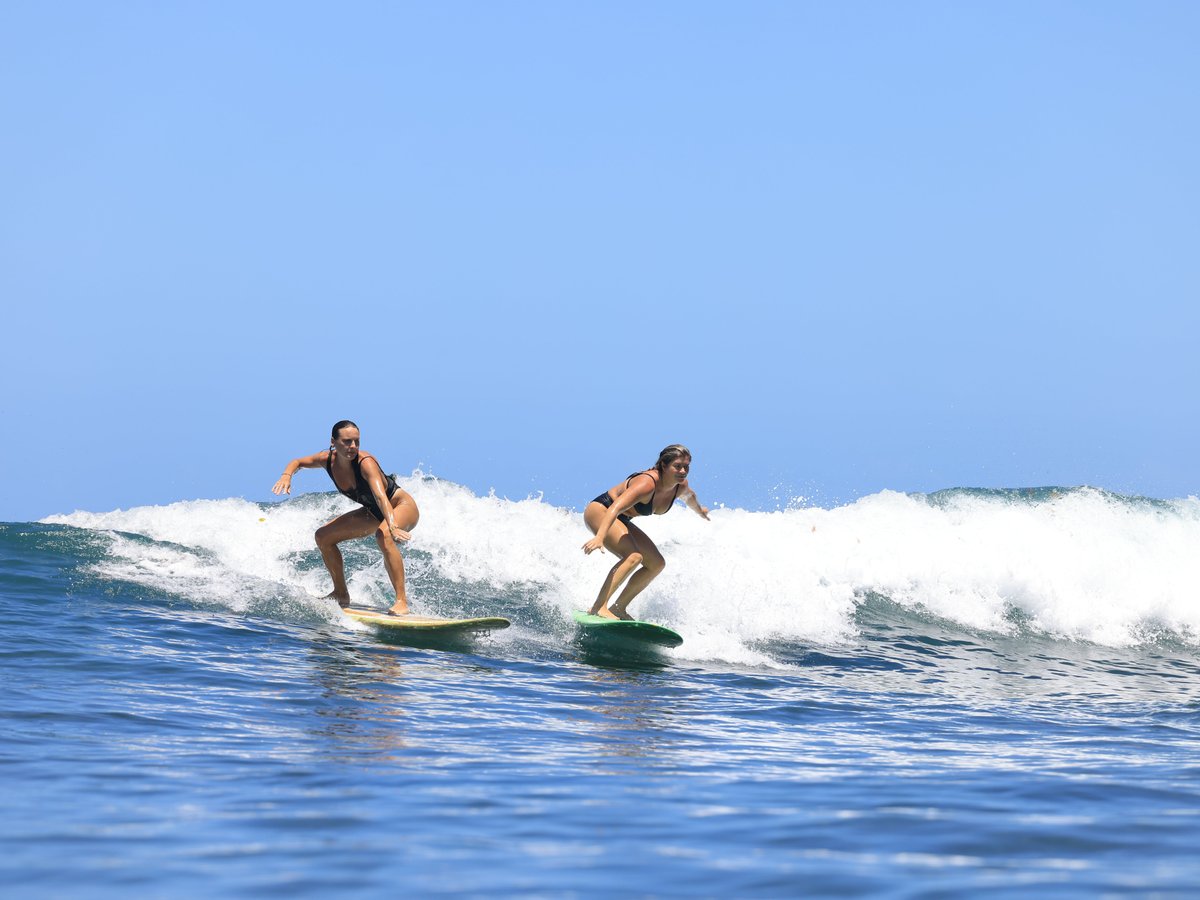 Surf the Jungle Surf School & Adventures (Puerto Viejo de Talamanca ...