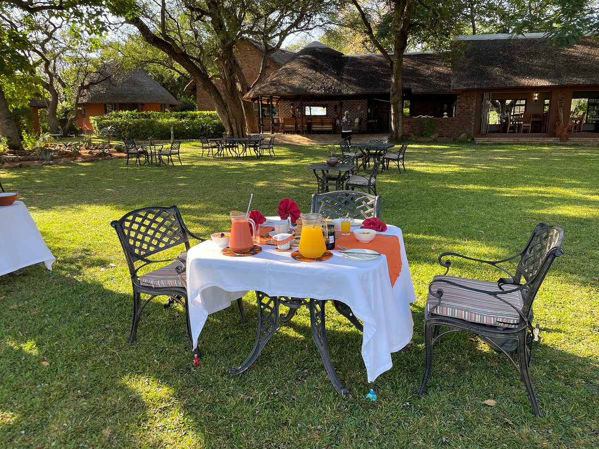 mohlabetsi safari lodge reviews