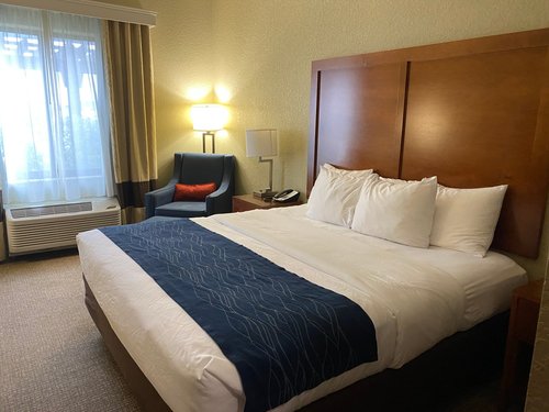 COMFORT INN & SUITES $171 ($̶1̶9̶9̶) - Updated 2024 Prices & Hotel ...