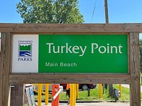 are dogs allowed at turkey point beach