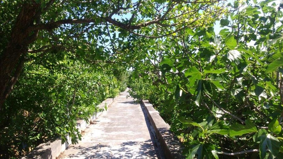 Μαρμάρινη στέρνα μήκους 140μ