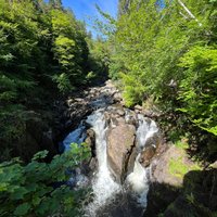 THE HERMITAGE WOODLAND WALK (Dunkeld) - All You Need to Know BEFORE You Go