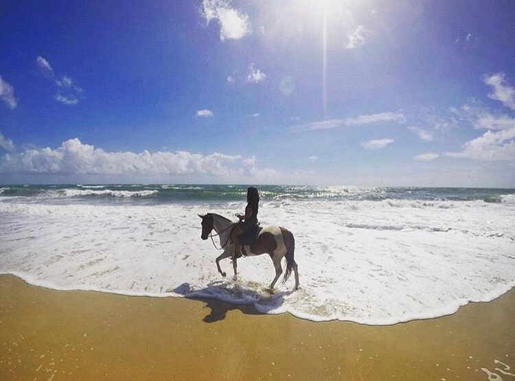 Vivo Porto de Galinhas - Passeio a cavalo Haras Maracaipe