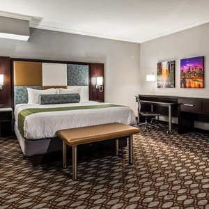 King Executive Room