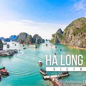 halong tour and transport service