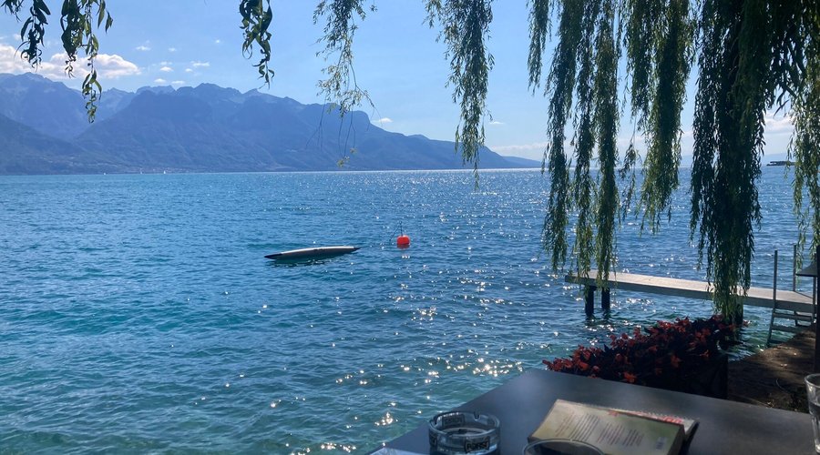 Ausblick vom Campingplatz Restaurant. Schönes schattiges Plätzchen unter einer großen Trauerweide.
