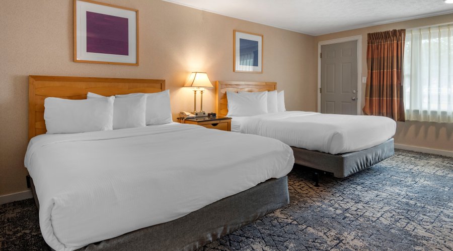 Two Queen bed room