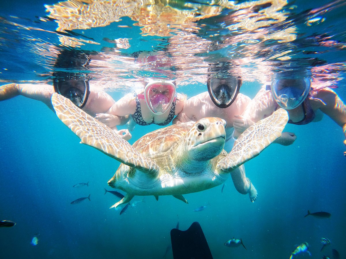 snorkelling trip barbados