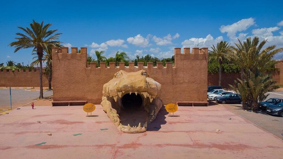 Top 10 Agadir Tourist Attractions Beyond the Beach - Agadir Crocoparc