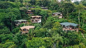 Tulemar Resort in Manuel Antonio, image may contain: Vegetation, Hotel, Resort, Rainforest