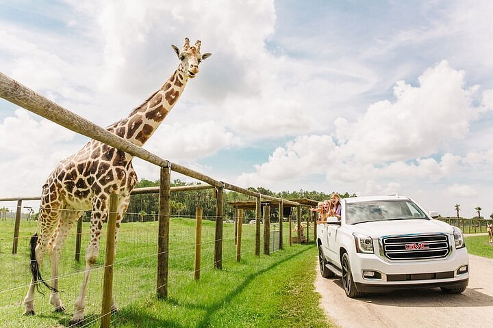 drive through safari miami