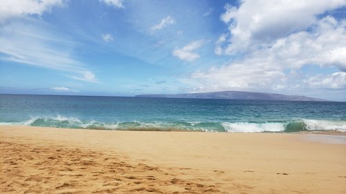 Maui Brazililli review images