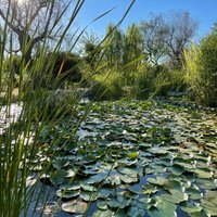 La Cutura Giardino botanico - All You Need to Know BEFORE You Go (2024)