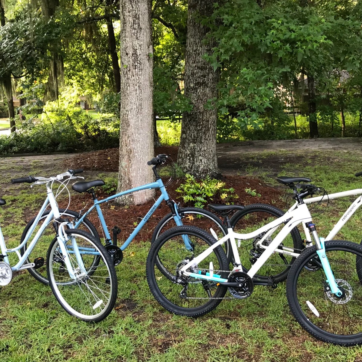 zoom rental bikes