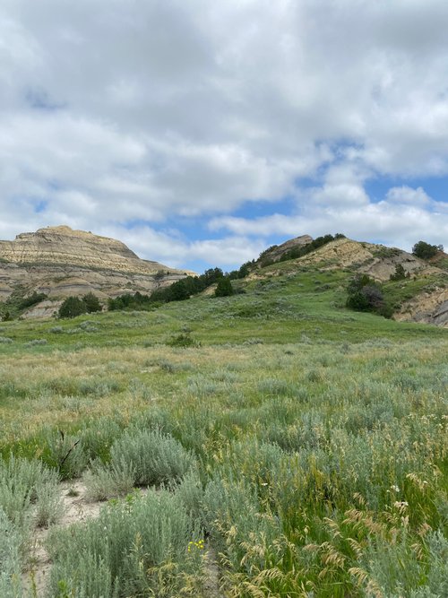 Theodore Roosevelt National Park AC97 review images