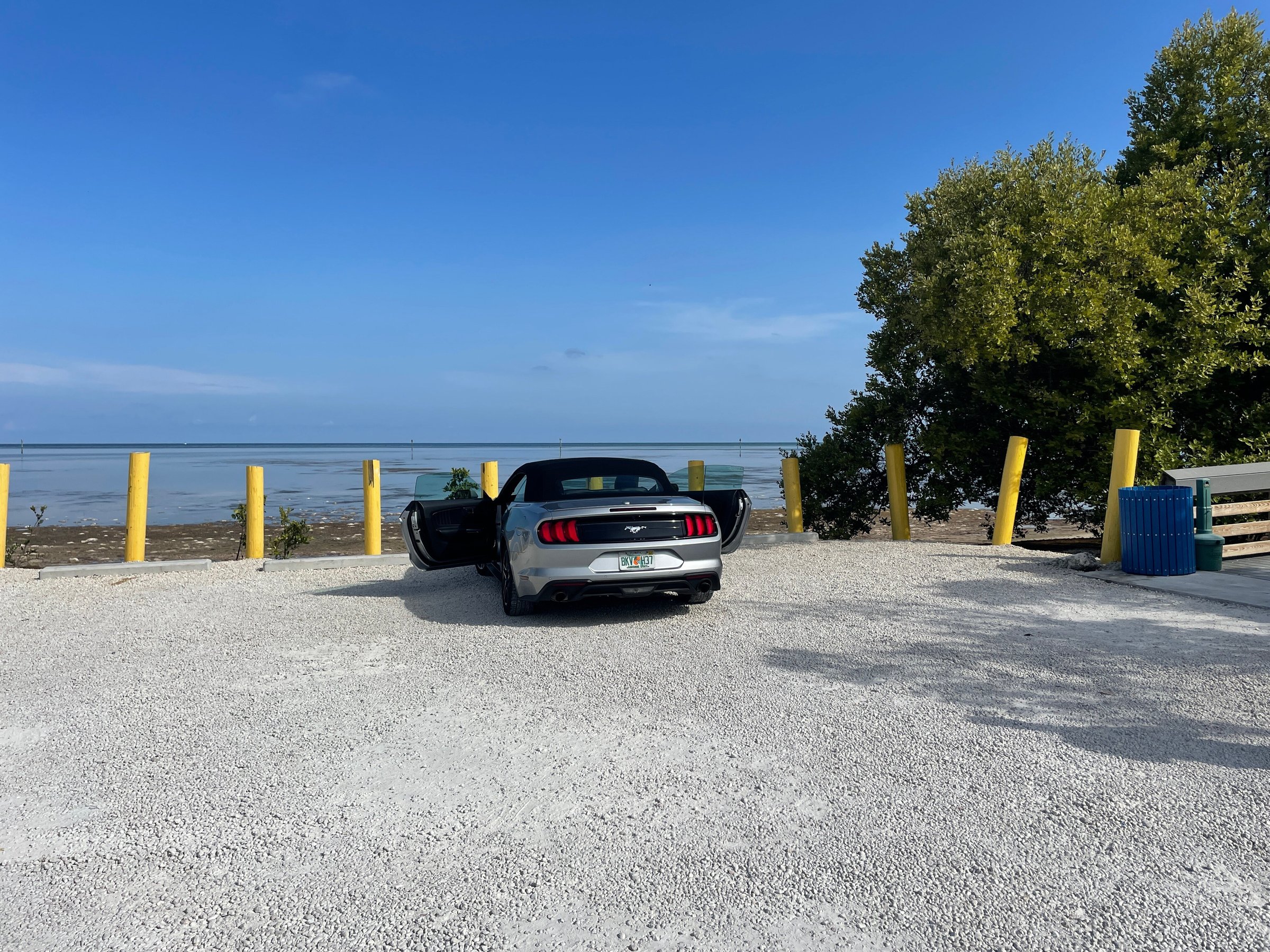 Miami Convertibles (Miami Beach) - All You Need to Know BEFORE You Go