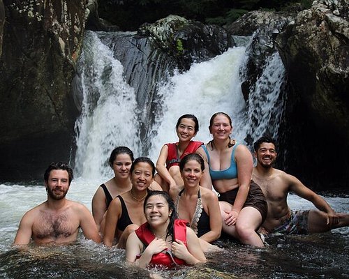 el yunque tours tripadvisor