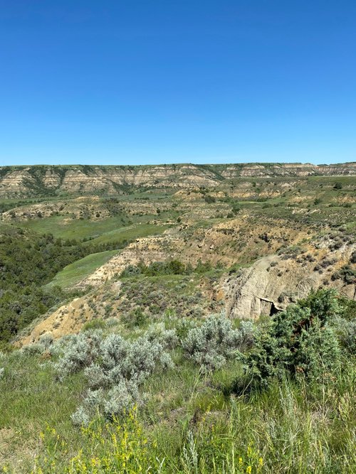Theodore Roosevelt National Park AC97 review images