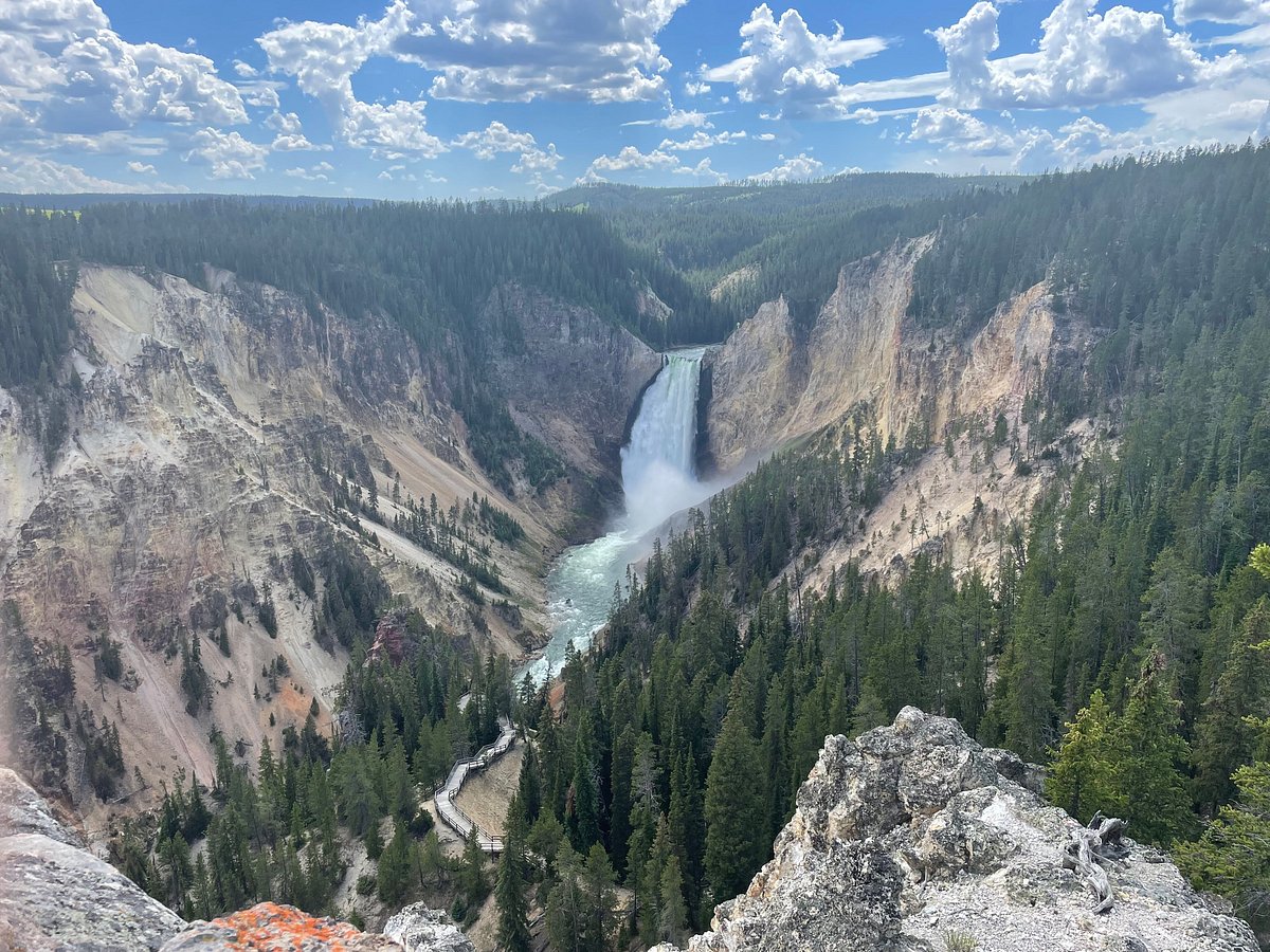 luxury tours yellowstone national park