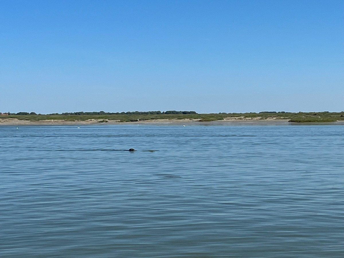 Cap Baie De Somme (Saint-Valery-sur-Somme) - All You Need to Know ...