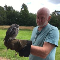 STRATHBLANE FALCONRY - All You Need to Know BEFORE You Go