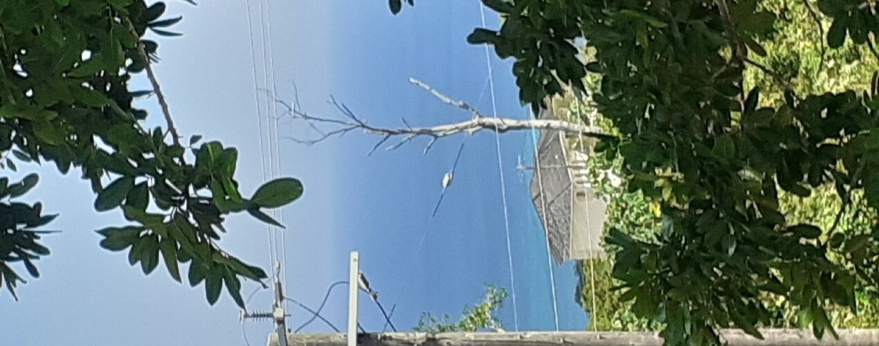 That's a view over looking montego bay area