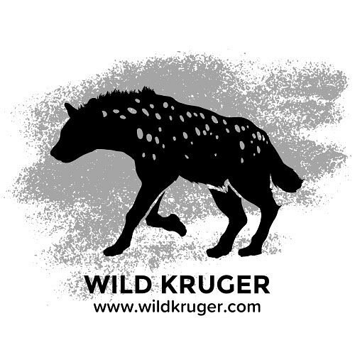 Wild Kruger image