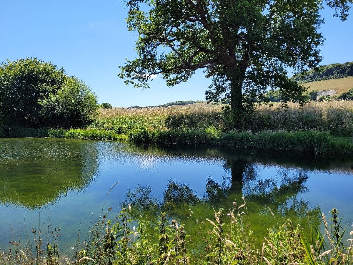 Vintage Fishing - MEON SPRINGS