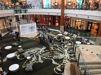 The Mall at Millenia (Orlando) - All You Need to Know BEFORE You Go