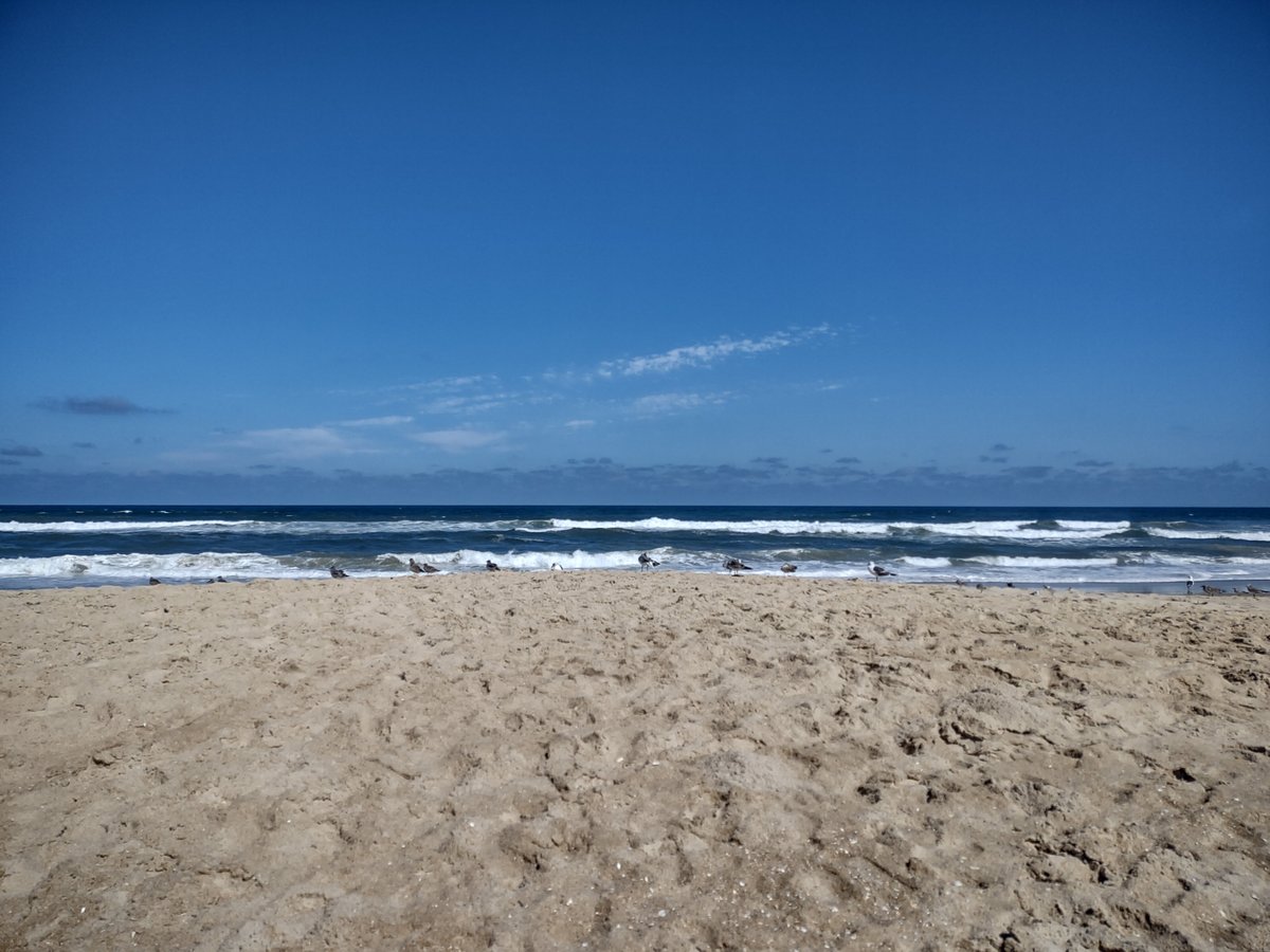 SANDSPUR MOTEL COTTAGE COURT Prices Hotel Reviews (Nags Head NC)