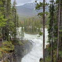 Sunwapta Falls and Canyon (Jasper National Park) - All You Need to Know ...