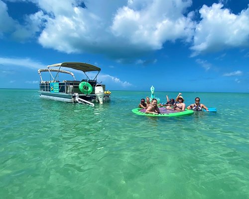 The 10 Best Fort Myers Beach Dolphin & Whale Watching Tours