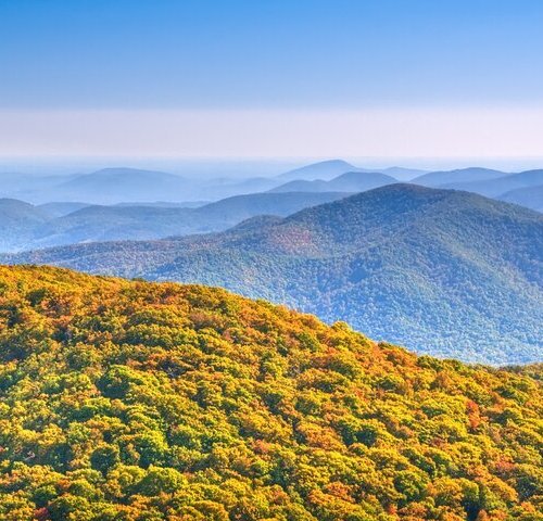 THE 15 BEST Things to Do in Ellijay - 2023 (with Photos) - Tripadvisor