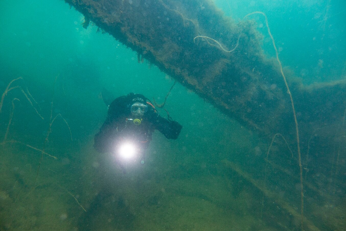 Kraken Diving (Birsay) - All You Need to Know BEFORE You Go