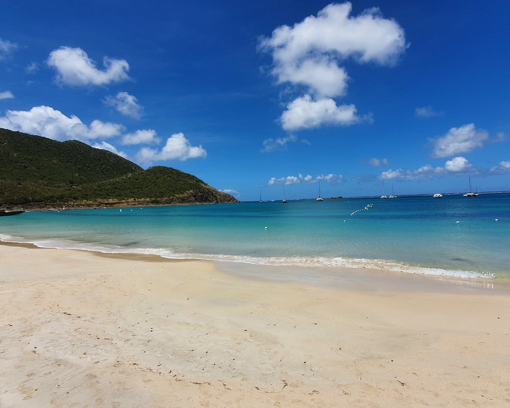 10 Mejores Playas En St Maarten Actualizado 2024 Tripadvisor