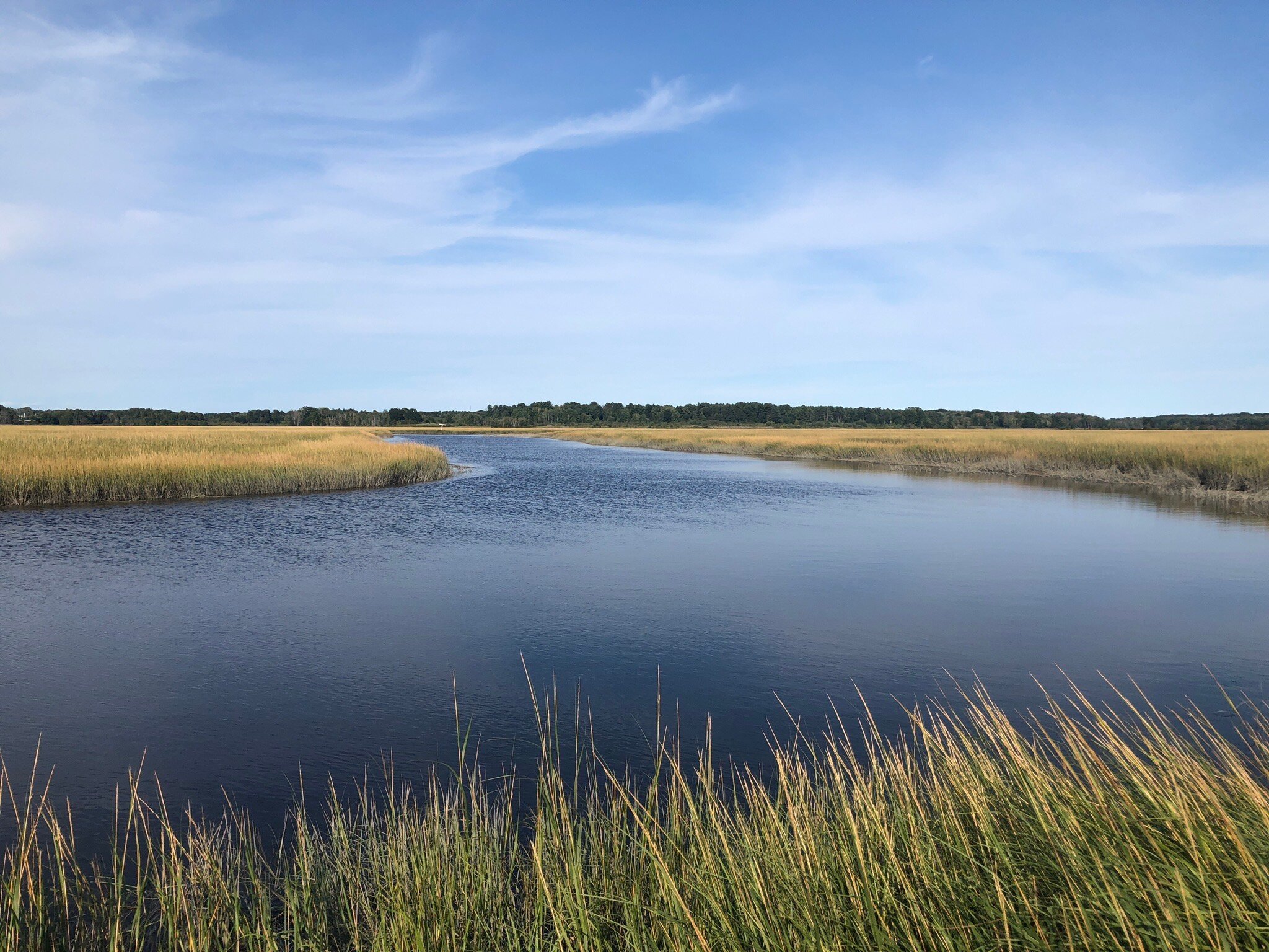 Scarborough Marsh Audubon Center - All You Need to Know BEFORE You Go