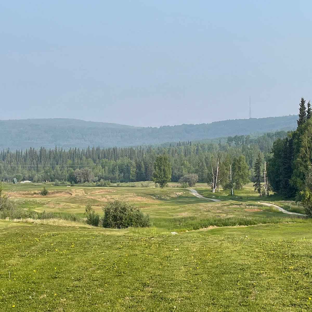 MIDNIGHT SUN GOLF COURSE (Fairbanks) 2022 What to Know BEFORE You Go