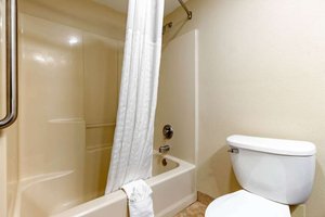 Room & Suite