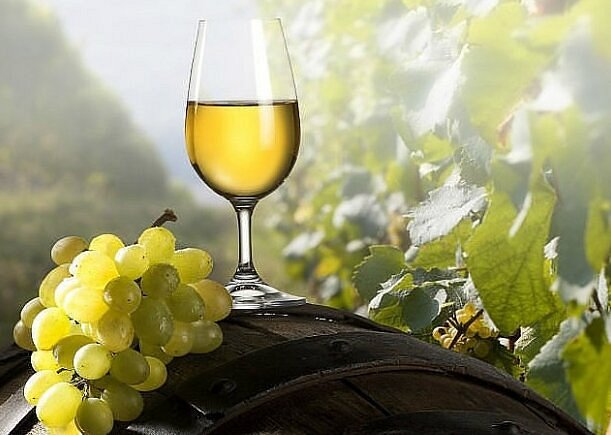 Wine Celler Maximus image