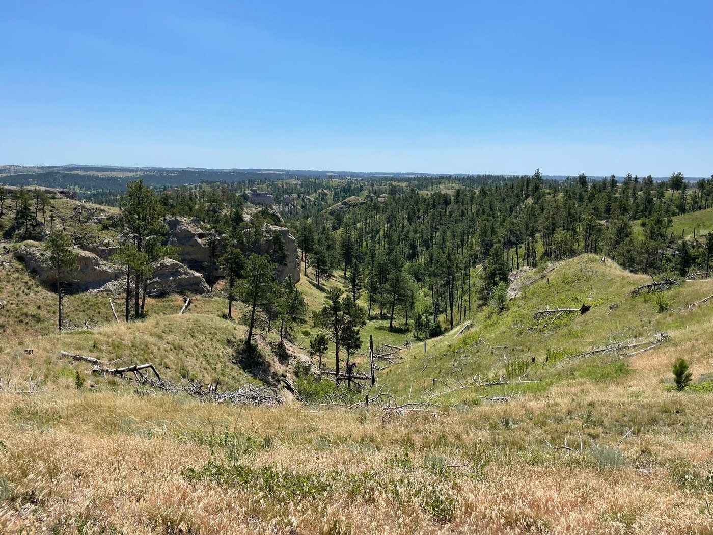 Escape to the Wild West: Chadron State Park, Nebraska's Hidden Gem