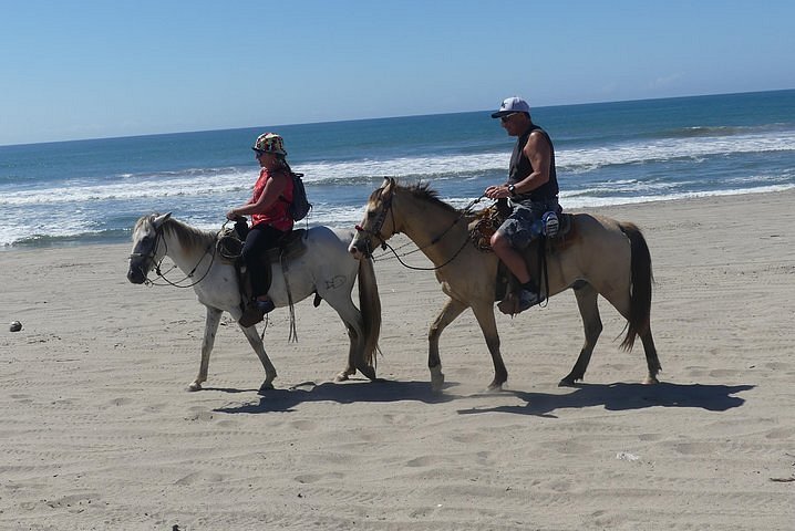 2023 .Countryside Drive & Boat Ride Beach-Horseback Ride Turtle release- Crocs & Lunch