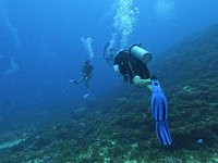 Agua Clara diving Cozumel (San Miguel de Cozumel) - All You Need to Know  BEFORE You Go