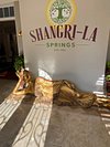 HARVEST & WISDOM AT SHANGRI-LA SPRINGS, Bonita Springs - Menu, Prices &  Restaurant Reviews - Tripadvisor