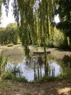 GOODERSTONE WATER GARDENS & NATURE TRAILS (King's Lynn) - All You Need ...