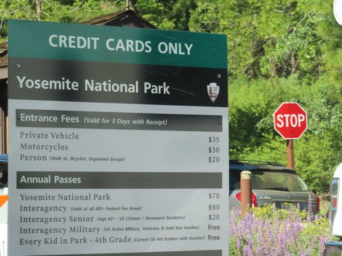 Yosemite National Park TheExplorerFamily review images