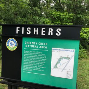 are dogs allowed at flat fork creek park