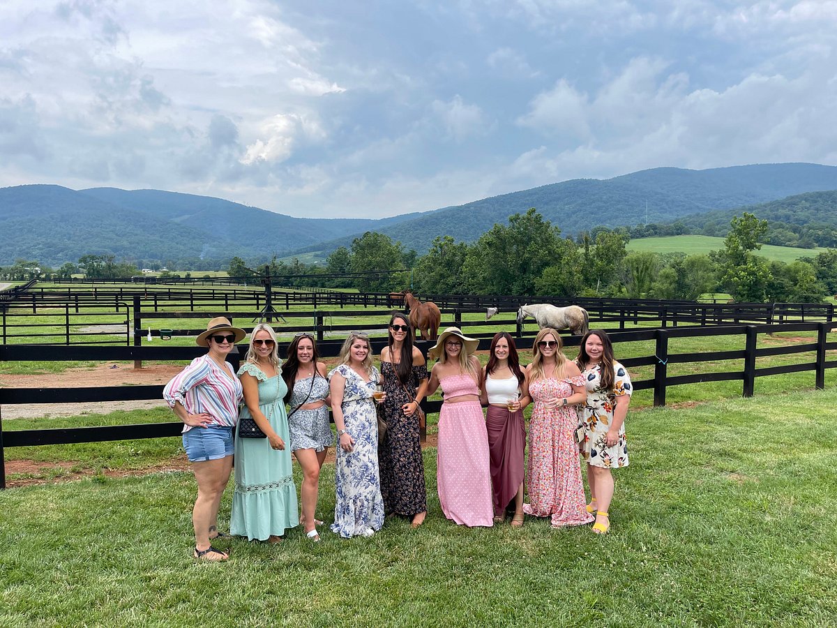 Blue Ridge Wine Excursions (Charlottesville) All You Need to Know