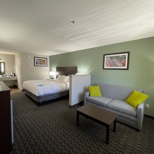 King Suite w/Sofa Sleeper